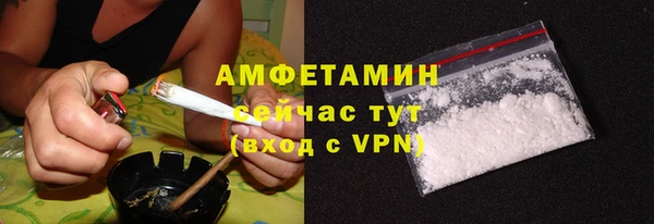 гашик Горняк