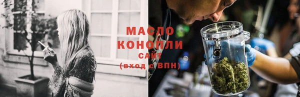 гашик Горняк