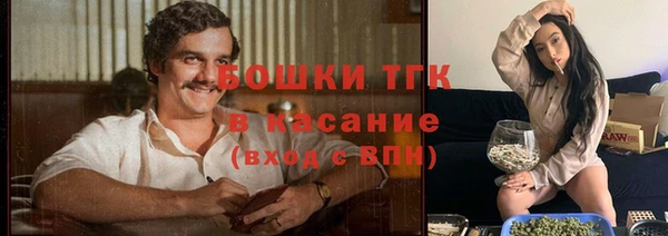 гашик Горняк