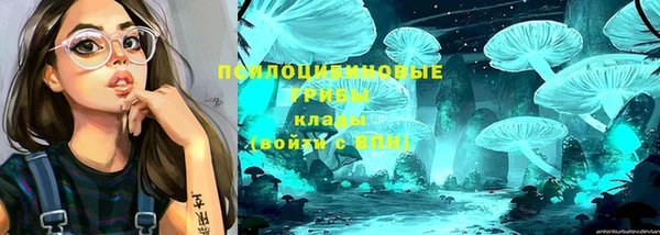 МДПВ Горнозаводск