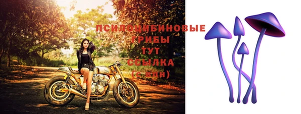 гашик Горняк