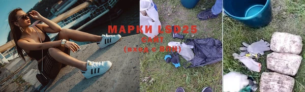 гашик Горняк
