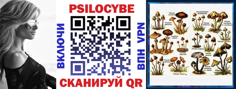 Псилоцибиновые грибы MAGIC MUSHROOMS  Жердевка 